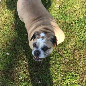 Meet your Posher, Amanda